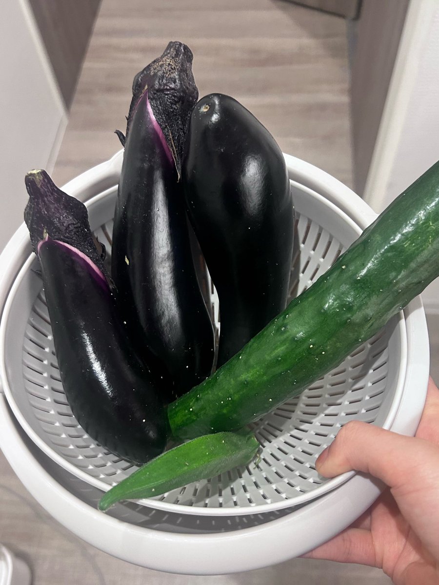 lon_0471's tweet photo. 最近知り合った地元のお母さんから、新鮮な夏野菜お裾分けでもらった🥹💖
早速お昼に食べたけど、美味しすぎる😿😿😿 https://t.co/LDrEyLXtjt