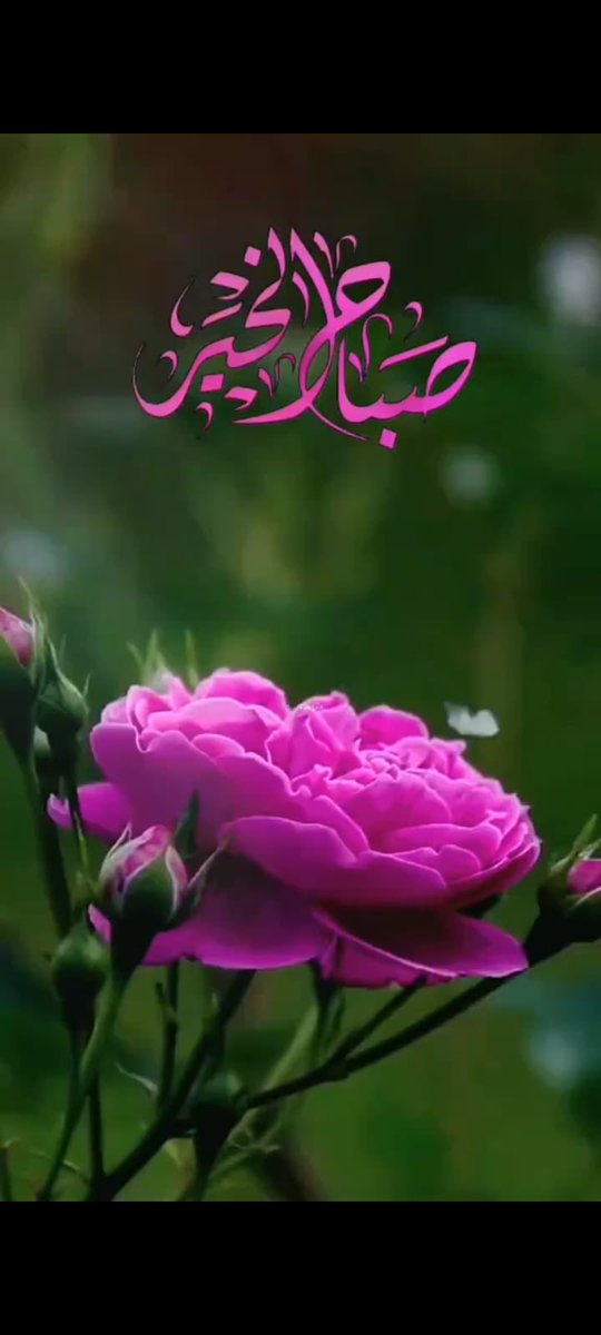 aboaus4's tweet photo. اللهم
ليس لنا من الامر الا ماقضيت 
ولا من الخير الا ما اعطيت 
فأجعلنا أرضي خلقك بك
وأشكرهم لك وأقربهم منك 
وأحبهم إليك ،،،

#صباح_الخير_والسعادة https://t.co/Asx1UqoGCC
