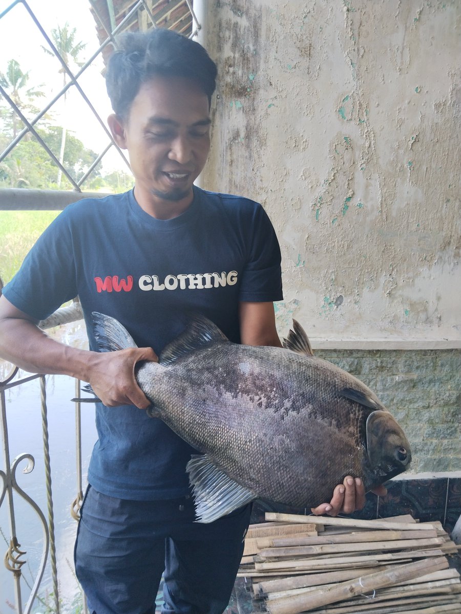 agpohan's tweet photo. 🏡 DIJUAL RUMAH + KOLAM IKAN DI KOTA TASIKMALAYA

Kesempatan memiliki rumah sekaligus aset usaha dalam satu lokasi.

📍 Lokasi: Kota Tasikmalaya
📐 Luas Tanah: 985 m²
🏠 Luas Bangunan: 200 m²
🛏️ 4 Kamar Tidur
🚿 3 Kamar Mandi https://t.co/ogb0PvEZAM