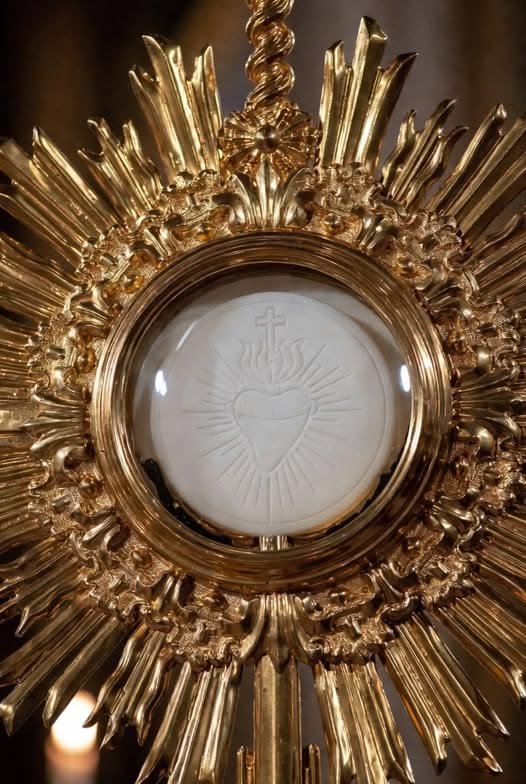 JustAdaugoijele's tweet photo. JESUS IN THE BLESSED SACRAMENT,
HAVE MERCY ON US https://t.co/5PFJIj9rfJ