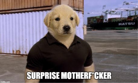 pizza4ce's tweet photo. @JotchuaTheMeme the dog is destined, just let him run free. https://t.co/rTi2673Yh3