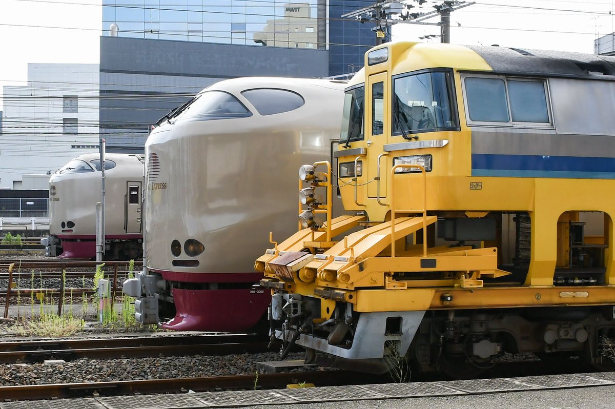 __mochariya's tweet photo. #285系デビュー28周年
2年前の大雨で上下共に抑止がかかり、熱田駅でロンキヤと共に並んだのが1番の思い出です。いつかは乗りたいと思いながら中々手を出せないのが辛い😞 https://t.co/DXXfbpzymS