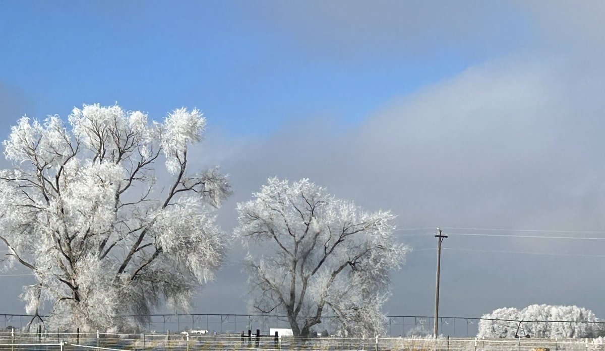 DougIWeatherGuy's tweet photo. FLASHBACK FRIDAY: to help us cool off this weekend. 🥶
🗓️ February 2026
📸 Phil Burwell
📍Fort Hall, Idaho
#flashbackfriday https://t.co/Wf7triWctT