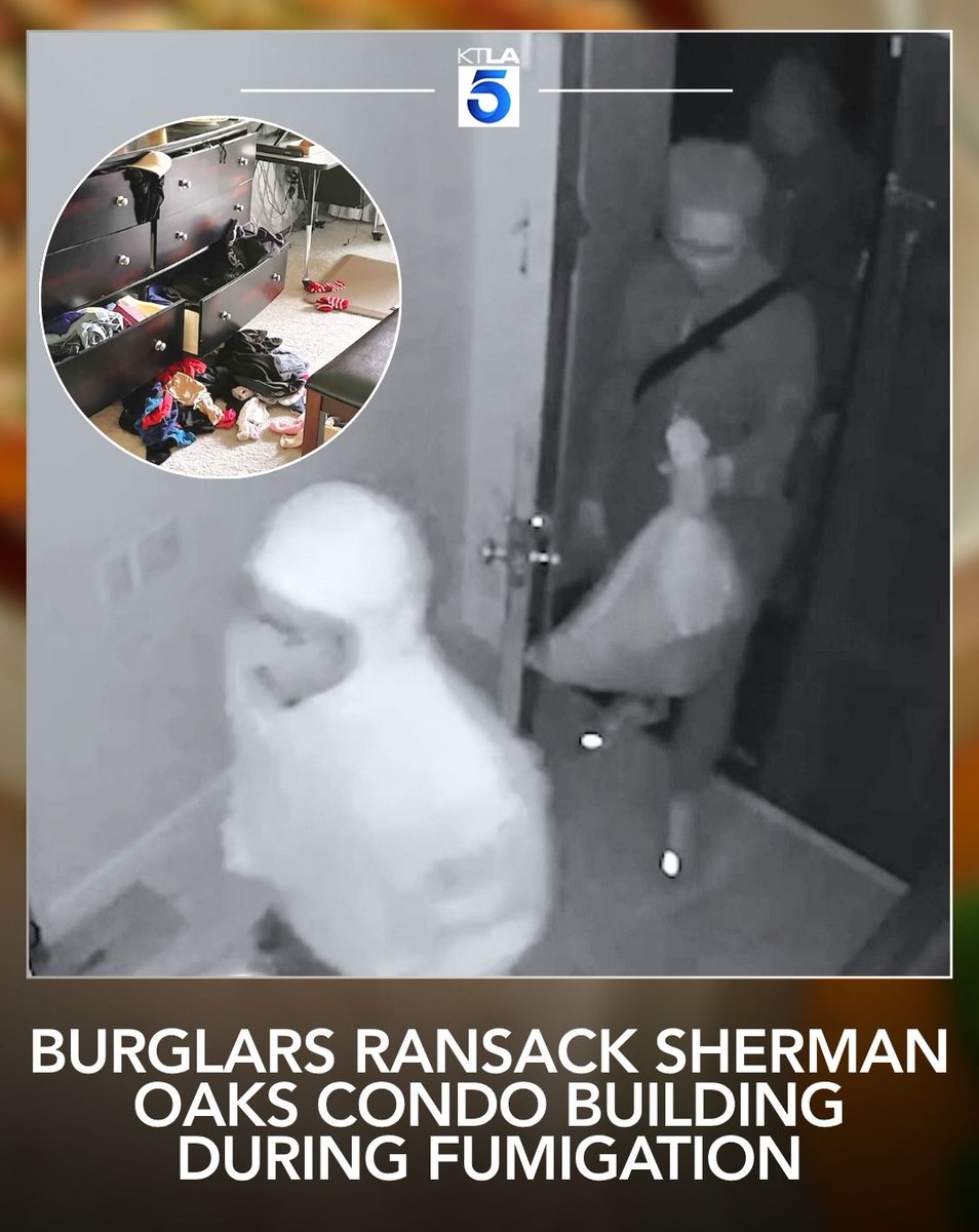 KTLA's tweet photo. A group of burglars stole thousands of dollars worth of items after ransacking a Sherman Oaks condominium building that was being fumigated.
Details: https://t.co/M7SznU2mT4 https://t.co/0JbCFmQ4jG