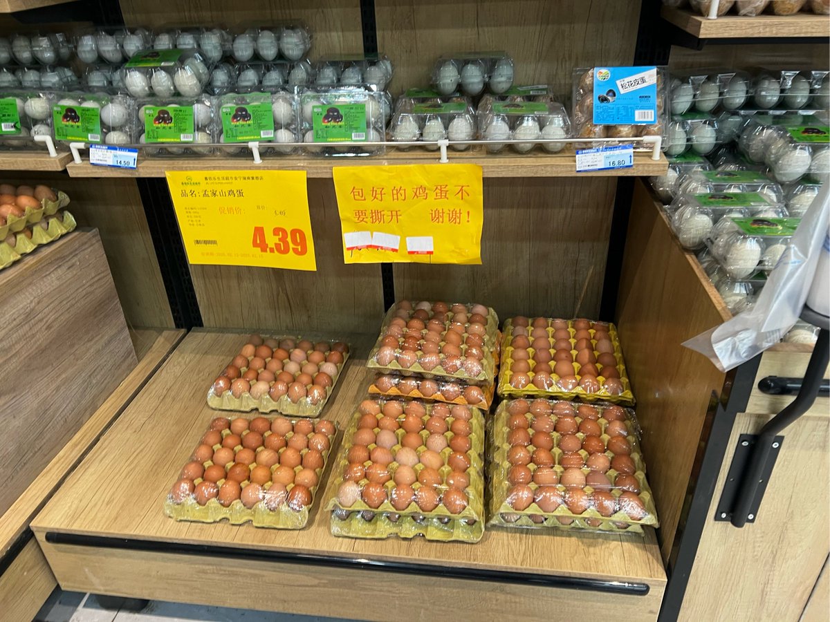 flollan's tweet photo. [Need fresh basil, cherry tomatoes, and organic eggs for tonight’s pasta Grabbing these at the local farmers market is super easy—super yummy home-cooked meal incoming!]， https://t.co/se4O4CcUQ7