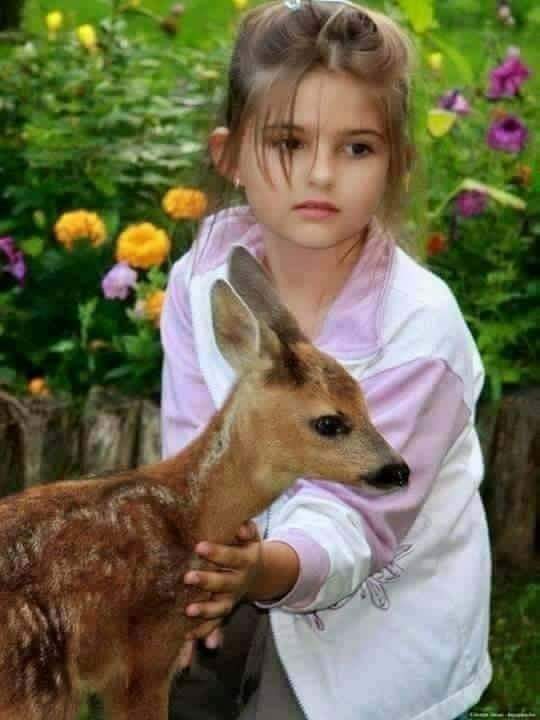 adhaheb's tweet photo. @233_shayoom https://t.co/Vmhrr98V85