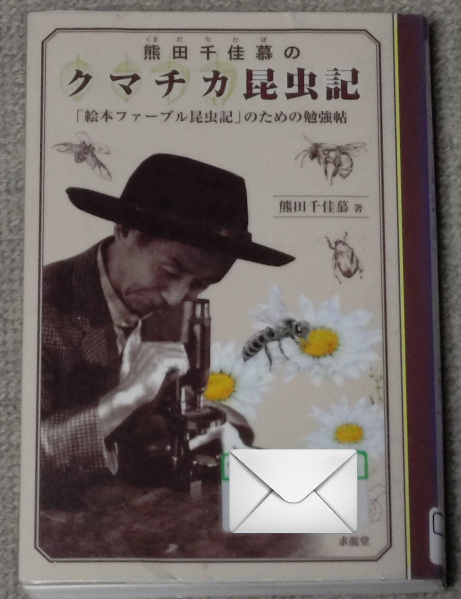 primary_c's tweet photo. 昆虫記絵本のための勉強帖が書籍化されていたので読んでみた。簡単に写真で残せない時代に数字や図に頼れない情報がたくさんの言葉にされていて美しい。「火力の弱まった炭火色」だなんて自分には使えない。花蜜や花粉団子がジュースやパンと書かれていると口にしたときの幸せな気持ちが伝わるよう😊 https://t.co/NgzSCGhH9L
