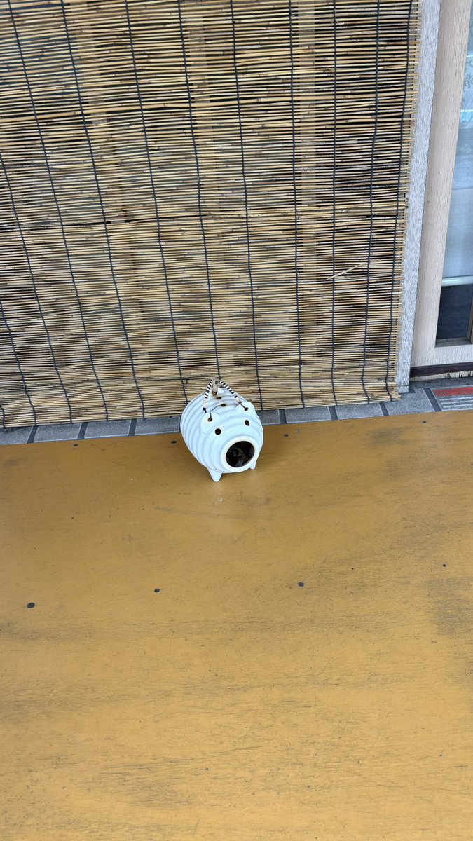minerva_sound's tweet photo. 見積もり関係の話を先方とメールでやり取りしていたんだけど、払ってやる的な恩着せがましい1行が書いてありまして。かなり頭に来たので今後の取引はお断りする決断をしました。古い付き合いだしいつも要点のみの文章なのは知ってるけど流石にね。。。俺も気を付けようっと🥺

軒先に夏の豚がいたよ☺️ https://t.co/hfIt7C86dH