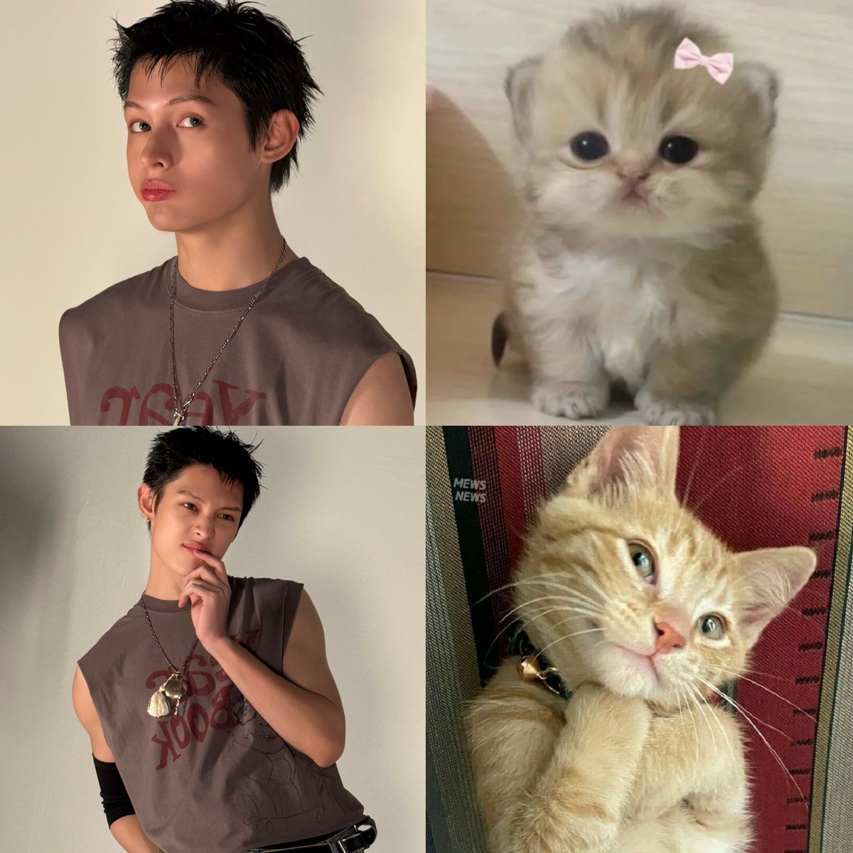 withcortis4life's tweet photo. how can you look at him and not say kitty 😭 #james https://t.co/6w4lfEAG3n