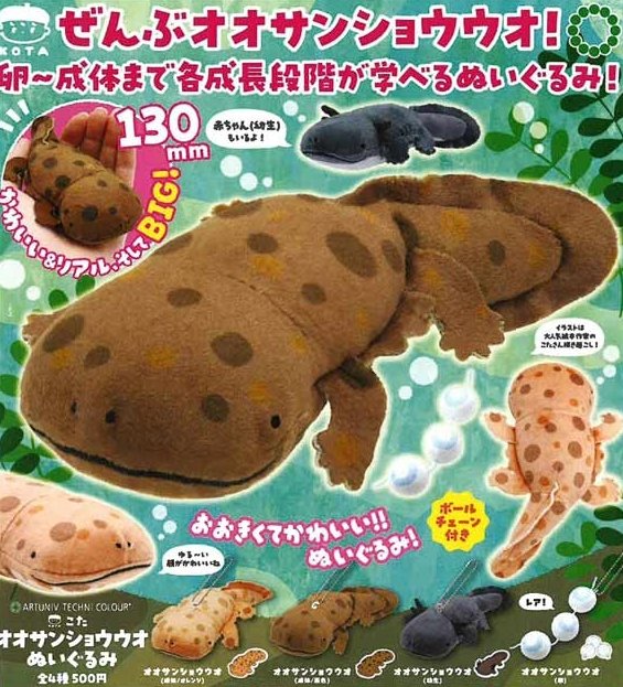 gachaxpompom's tweet photo. 『アートユニブテクニカラー こた オオサンショウウオぬいぐるみ』8月発売予定！
卵～成体まで各成長段階が学べるぬいぐるみ！ 
https://t.co/kdA6gGS82i https://t.co/xLQwcuMon7