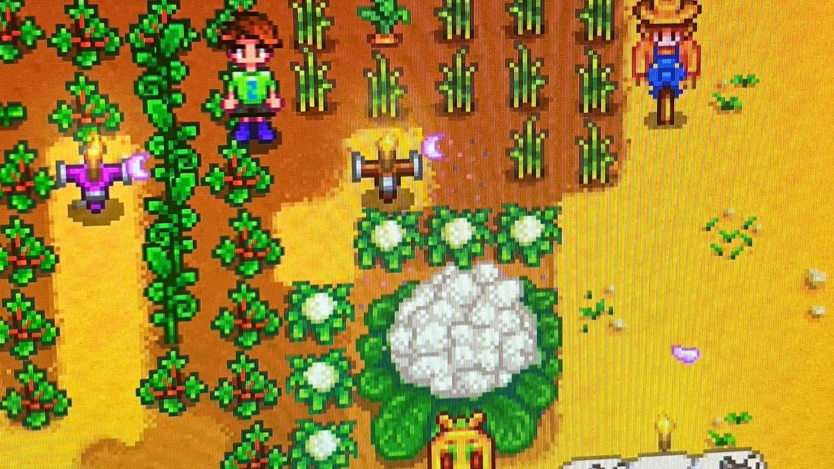 kolb_tanja's tweet photo. Just wrapped up a cozy 20-minute farming session in Stardew Valley – finally got my first giant cauliflower! https://t.co/WSEdJnlRrn