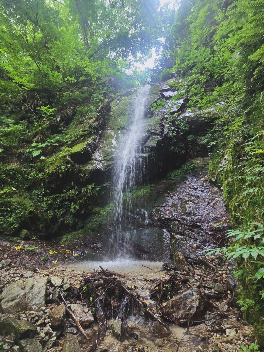 tibet_in's tweet photo. 布曳滝(女滝)
沢を登った所にある滝で倒木等が少なくなり景観が変わっていた。いい感じの直瀑で滝浴びには最高だった！
#滝行
#村上市 https://t.co/r6FTftFZvD
