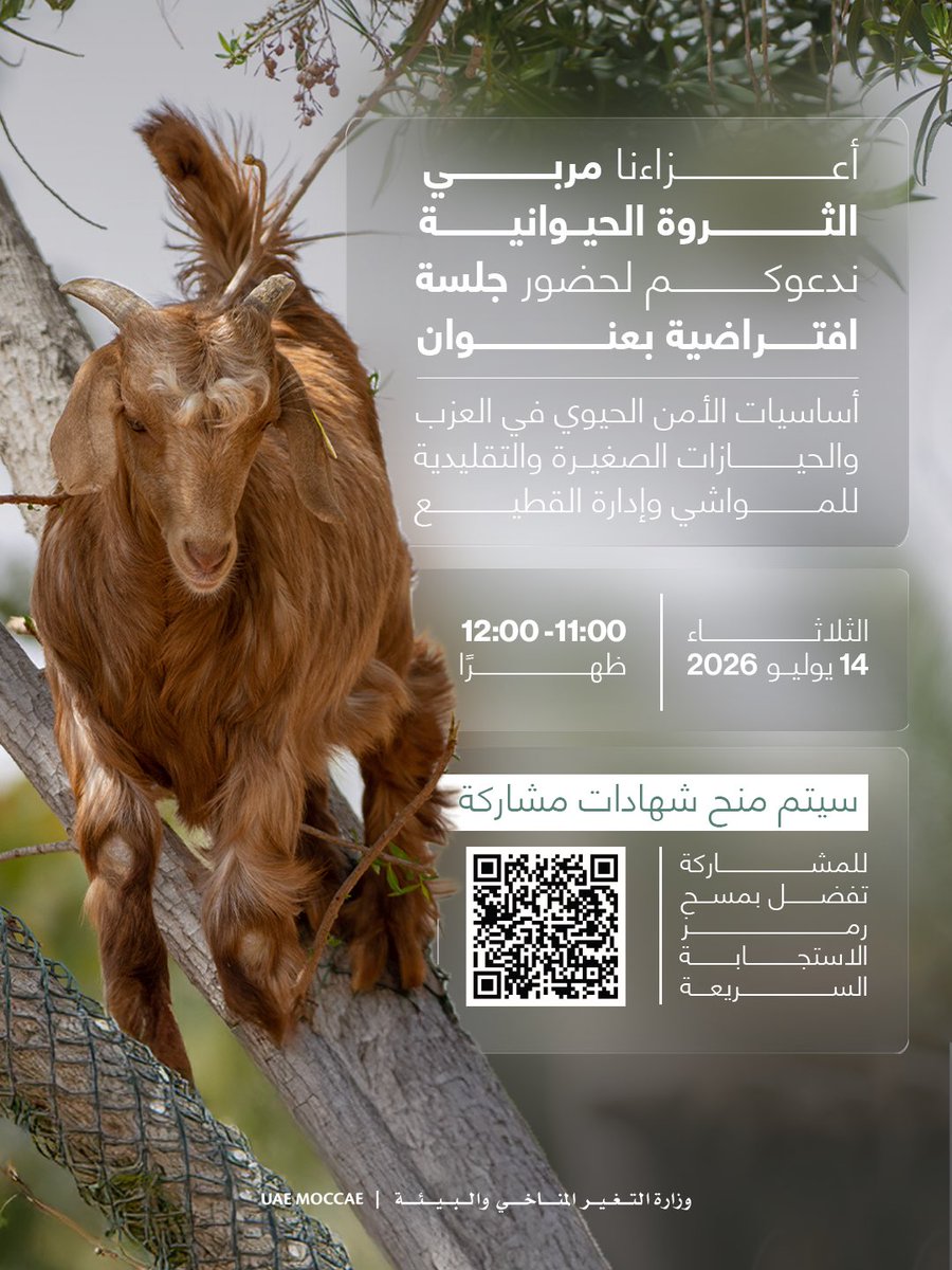 MoCCaEUAE's tweet photo. تدعو وزارة التغير المناخي والبيئة مربي الثروة الحيوانية في دولة الإمارات لحضور جلسة افتراضية بعنوان "أساسيات الأمن الحيوي في العزب والحيازات الصغيرة والتقليدية للمواشي وإدارة القطيع". 

وتهدف الجلسة إلى تعزيز وعي المربين بأفضل ممارسات الأمن الحيوي، والوقاية من الأمراض، وتحسين إدارة القطعان في العزب والحيازات الصغيرة، حفاظًا على صحة الثروة الحيوانية.

للمشاركة تفضل بمسح رمز الاستجابة
ملاحظة: سيتم منح شهادات مشاركة

#وزارة_التغير_المناخي_والبيئة
#الإمارات

The Ministry of Climate Change and Environment invites livestock owners across the UAE to join a virtual session on "Biosecurity Essentials in Small and Traditional Livestock Farms and Herd Management."

The session aims to raise awareness of biosecurity best practices, disease prevention and effective herd management to help safeguard livestock health on small and traditional farms.

Scan the QR code to register.
Note: Participation certificates will be provided.

#MOCCAEUAE #UAE