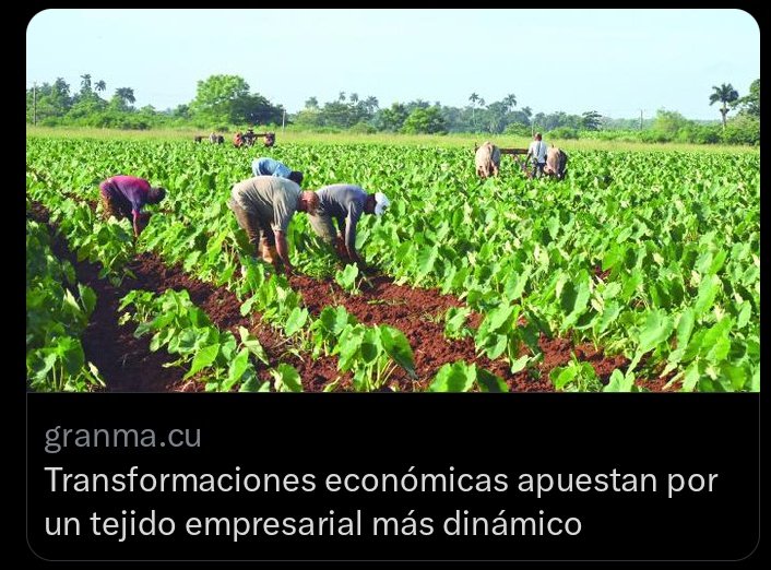 CENASACuba's tweet photo. Las transformaciones económicas y sociales que impulsará el país, deben incentivar la responsabilidad social de todos los actores económicos.
@mesaredondacuba informó y reflexionó sobre complejidades, retos y desafios
https://t.co/emuWAGN0qO…
#ProgramaDeGobierno
#CubaEstáFirme https://t.co/VjYqYdWq5K