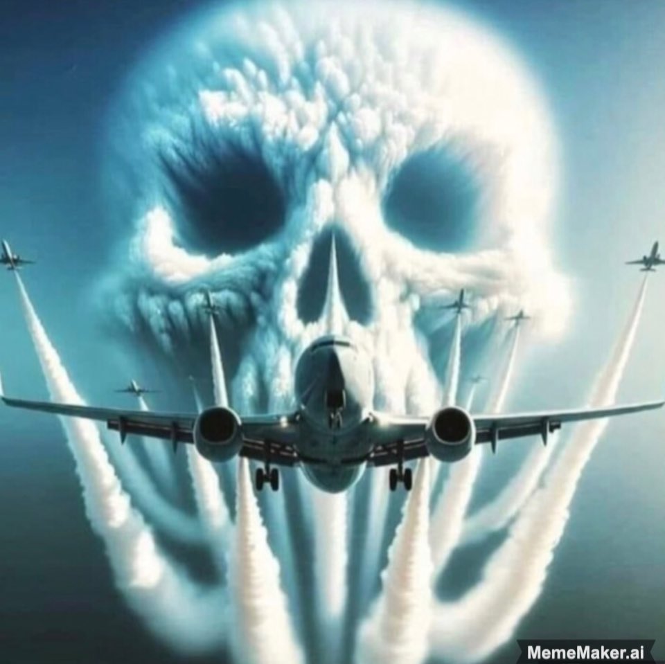 OGeeSocials's tweet photo. @ABridgen Geoengineering .

Trees not tolerating all the spraying. https://t.co/zxwjRPOvKZ
