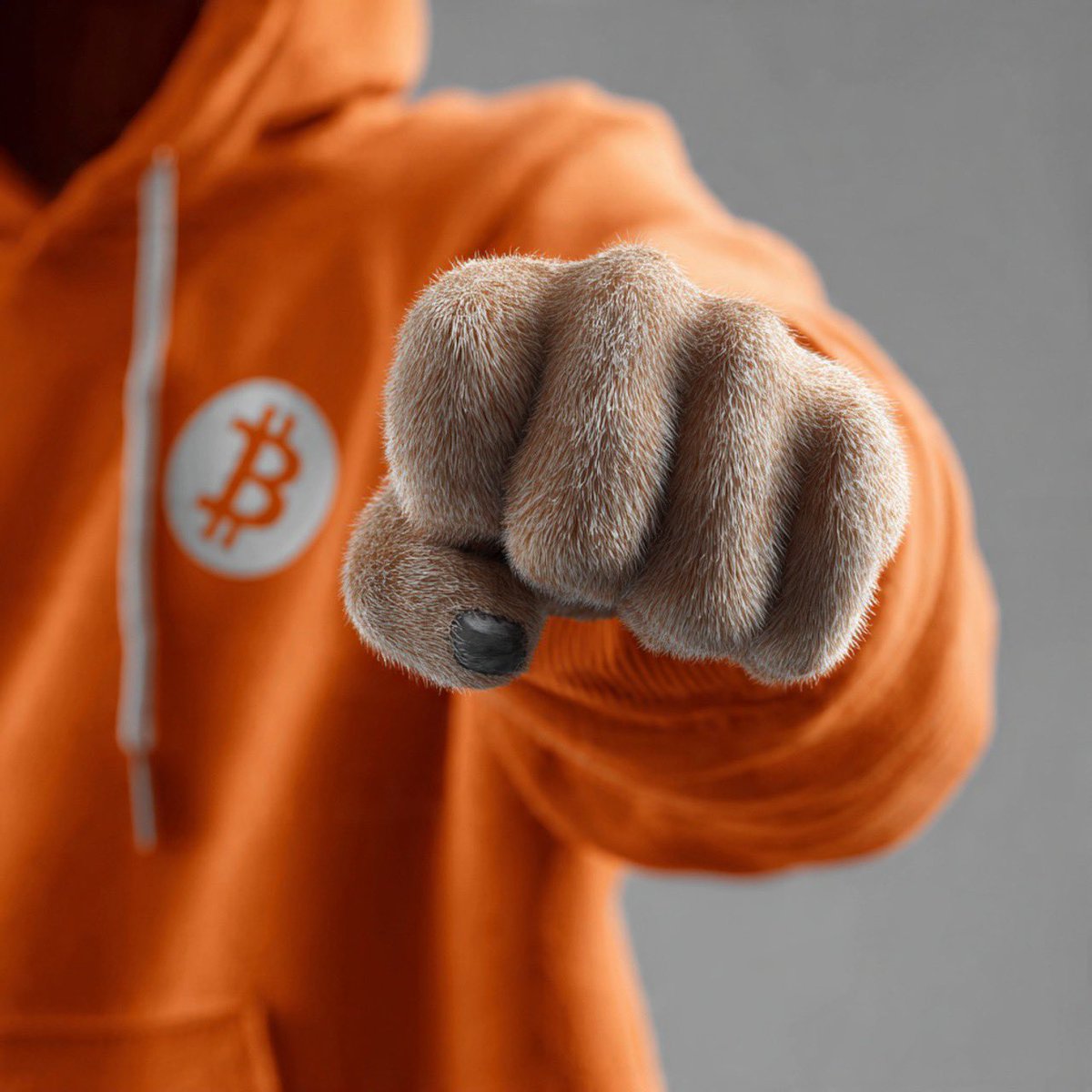 ₿RACKET 🧡 $DOG tweet media