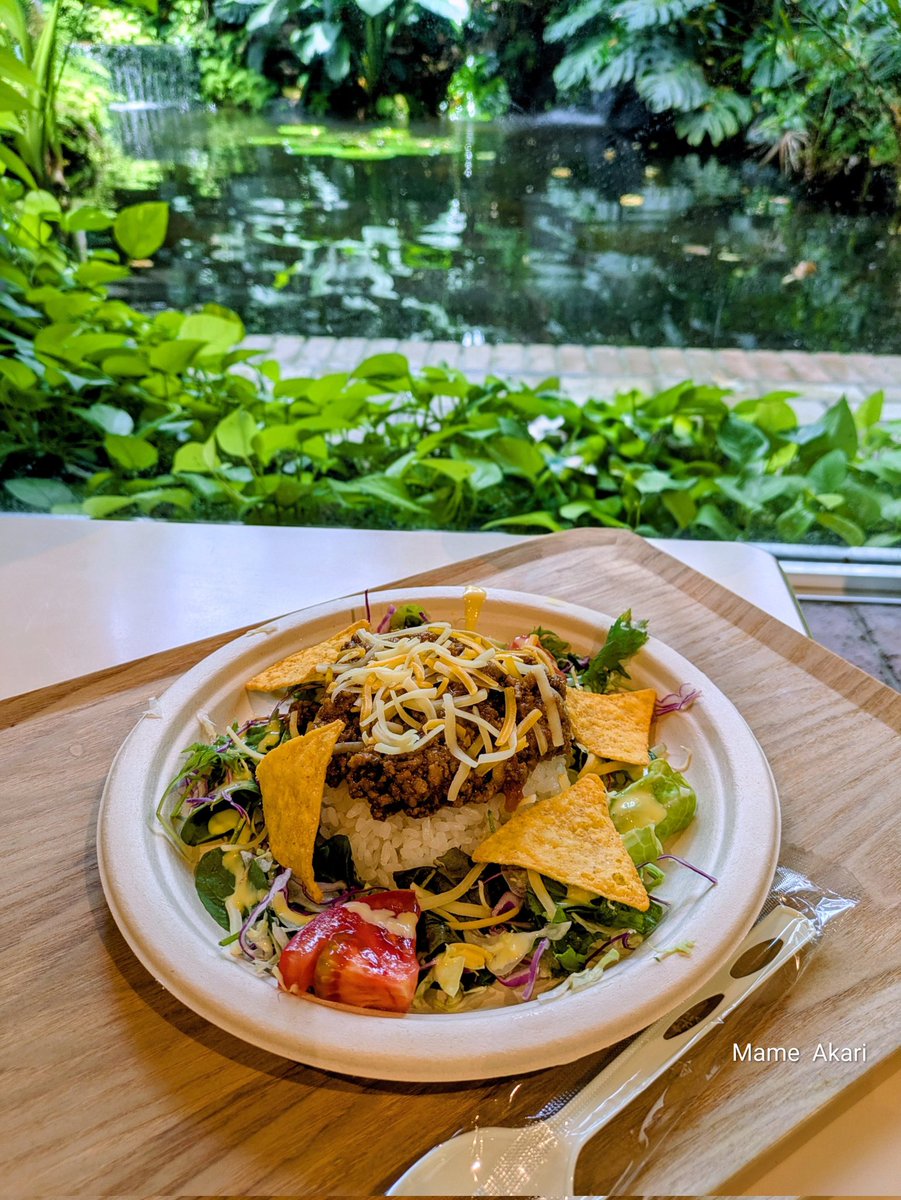 RXQOEXoqwnRkZiX's tweet photo. 🥄お昼はﾁｰｽﾞﾀｺｽﾗﾝﾁ
　　　　　　　　🌱熱帯植物館 https://t.co/z0cAjTh8SX