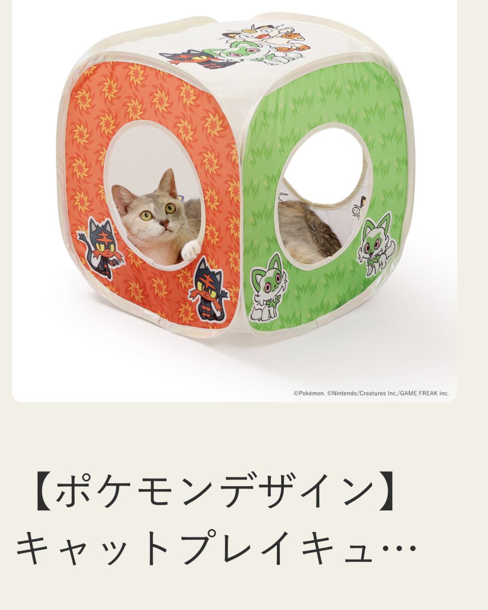 coshimaru's tweet photo. ポケモン猫壱コラボ❤️💚

私達姉妹でニャビーとニャオハが好きで、
実家では兄弟の猫を2匹飼っているのですが…
この商品私たちのためにあると思っちゃいました🫪(おこがましい)

フードボウルも買ったみたいなので
写真送られてくるのが楽しみ🌼
#ポケモン
#ポケモン猫壱
#ニャビー
#ニャオハ https://t.co/zZY1Z3goaT