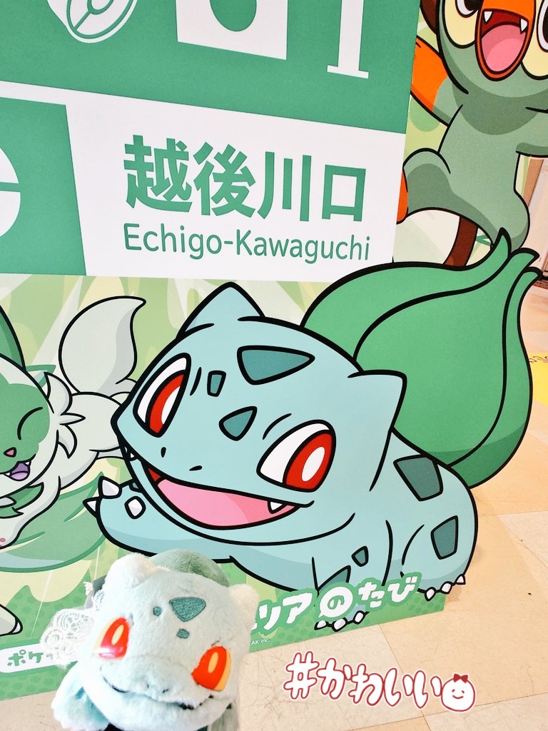koz001's tweet photo. 目的を達成しました💚🍃 https://t.co/YYhZ4OR8Vu