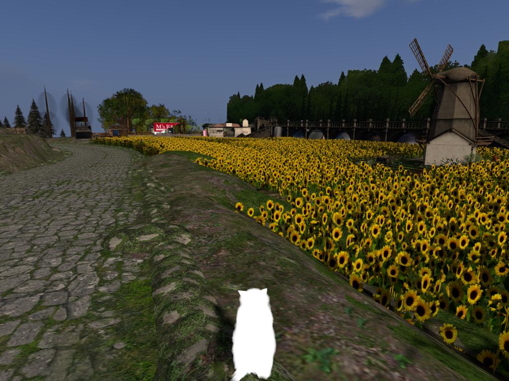 nanri1130's tweet photo. #SecondLife https://t.co/hWwdtHCkVb