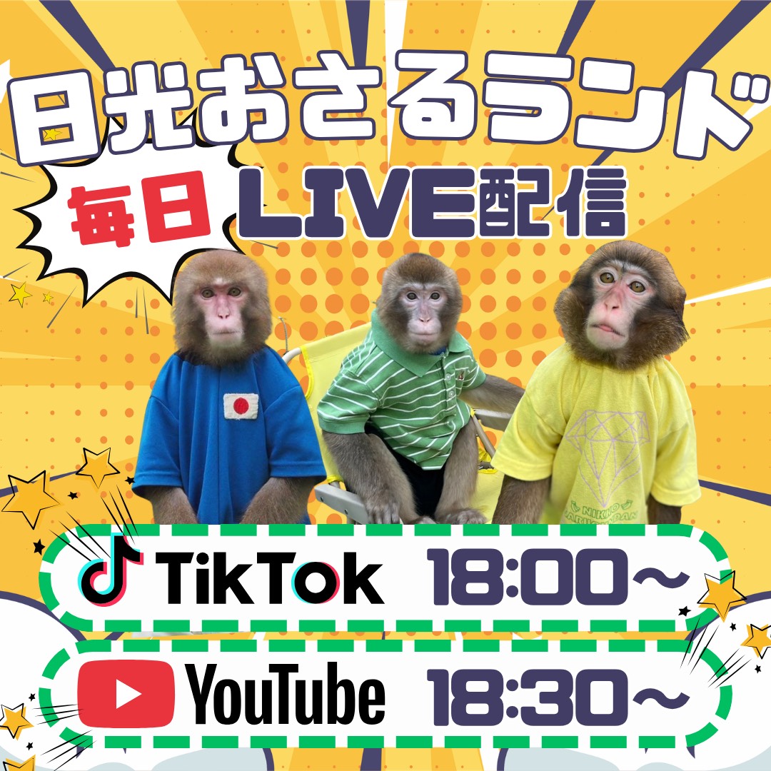 ちー☆5月1日までのお取り置き☆ハンドメイドのビックサイズのお猿さん ちー☆5月1日までのお取り置き☆ハンドメイドのビックサイズのお猿さん