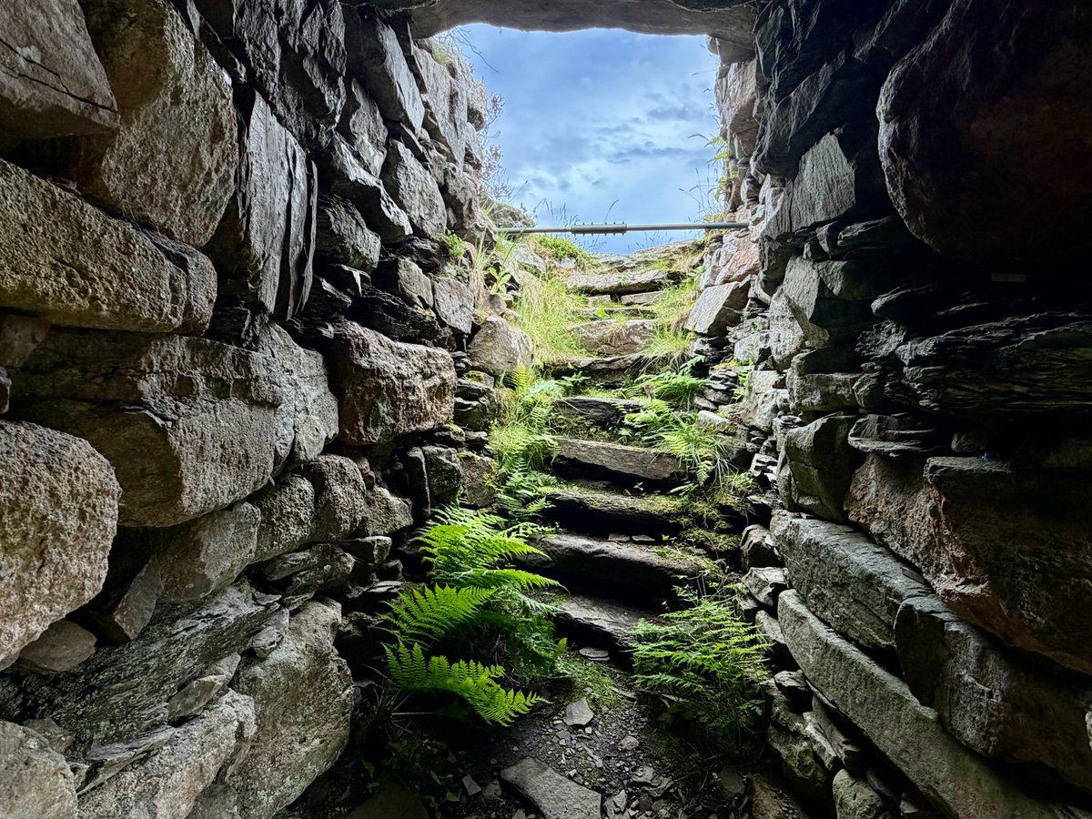 KPW1453's tweet photo. Surviving stairway from Ousdale Broch in Caithness. Dating to the Iron Age, the broch had been beautifully conserved by the Caithness Broch Project @TheBrochProject ๐ธ My own. #StairwellSaturday #OusdaleBroch #Prehistory #Caithness https://t.co/WpcQYTcM9N