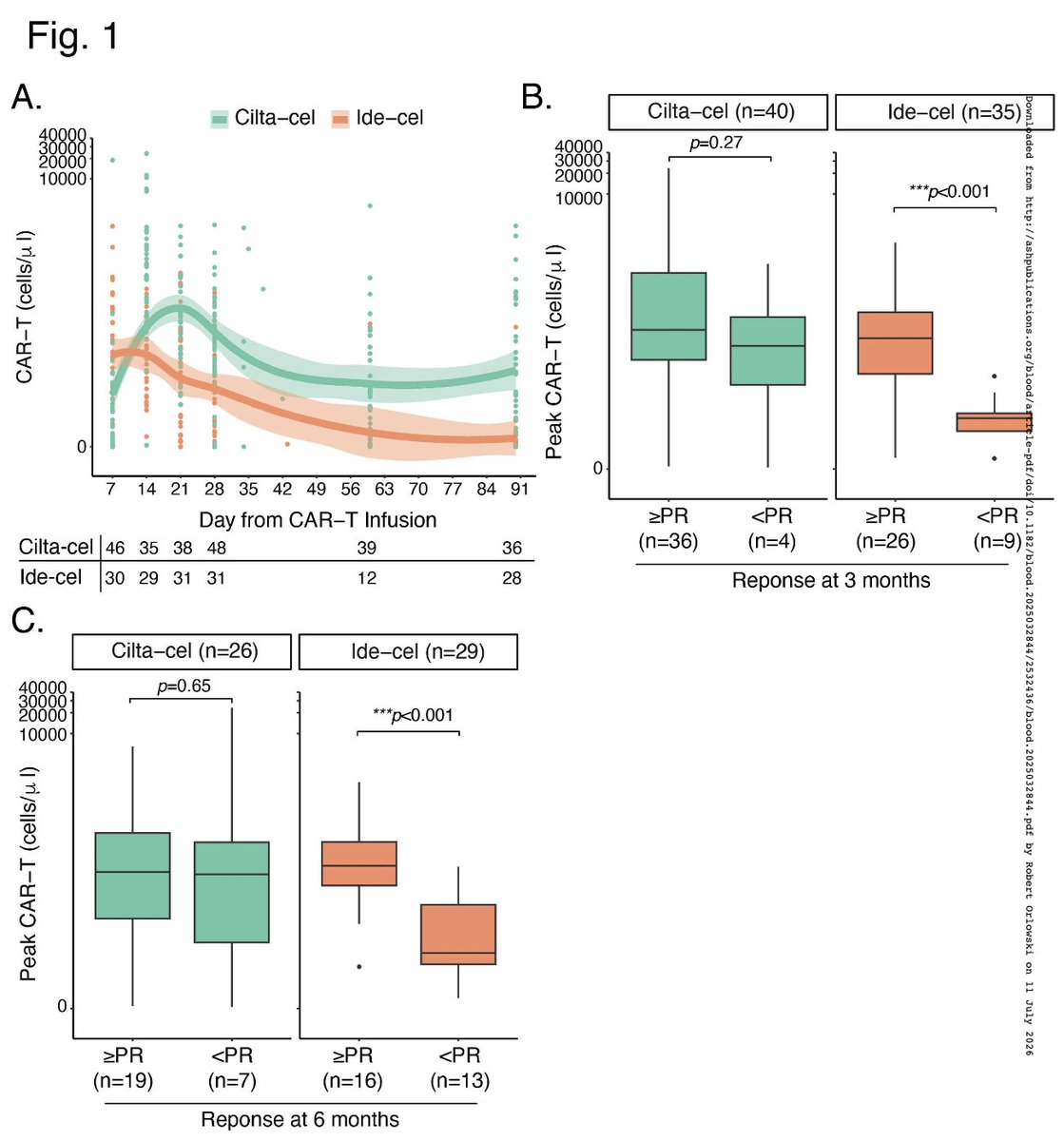Myeloma_Doc's tweet photo. #Myeloma Paper of the Day: Rapid peak cilta-cel expansion is associated with delayed neurotoxicity (DNT) in myeloma; peak ALC β₯3000/uL, or β₯2500/uL following a daily twofold increase, predicted elevated DNT risk (sensitivity 81%, specificity 59%): https://t.co/xcGzYAJaJI. #mmsm https://t.co/5Lx8sJ8VGX