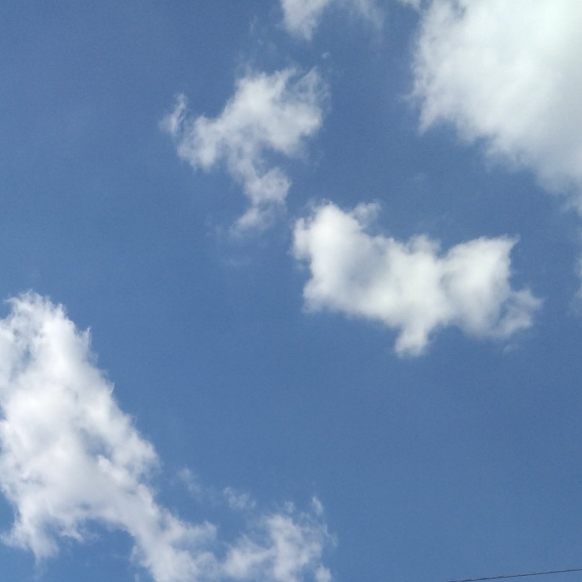 heroshige's tweet photo. 40度くらいある、わたしにはわかる https://t.co/8gbfhPolUx