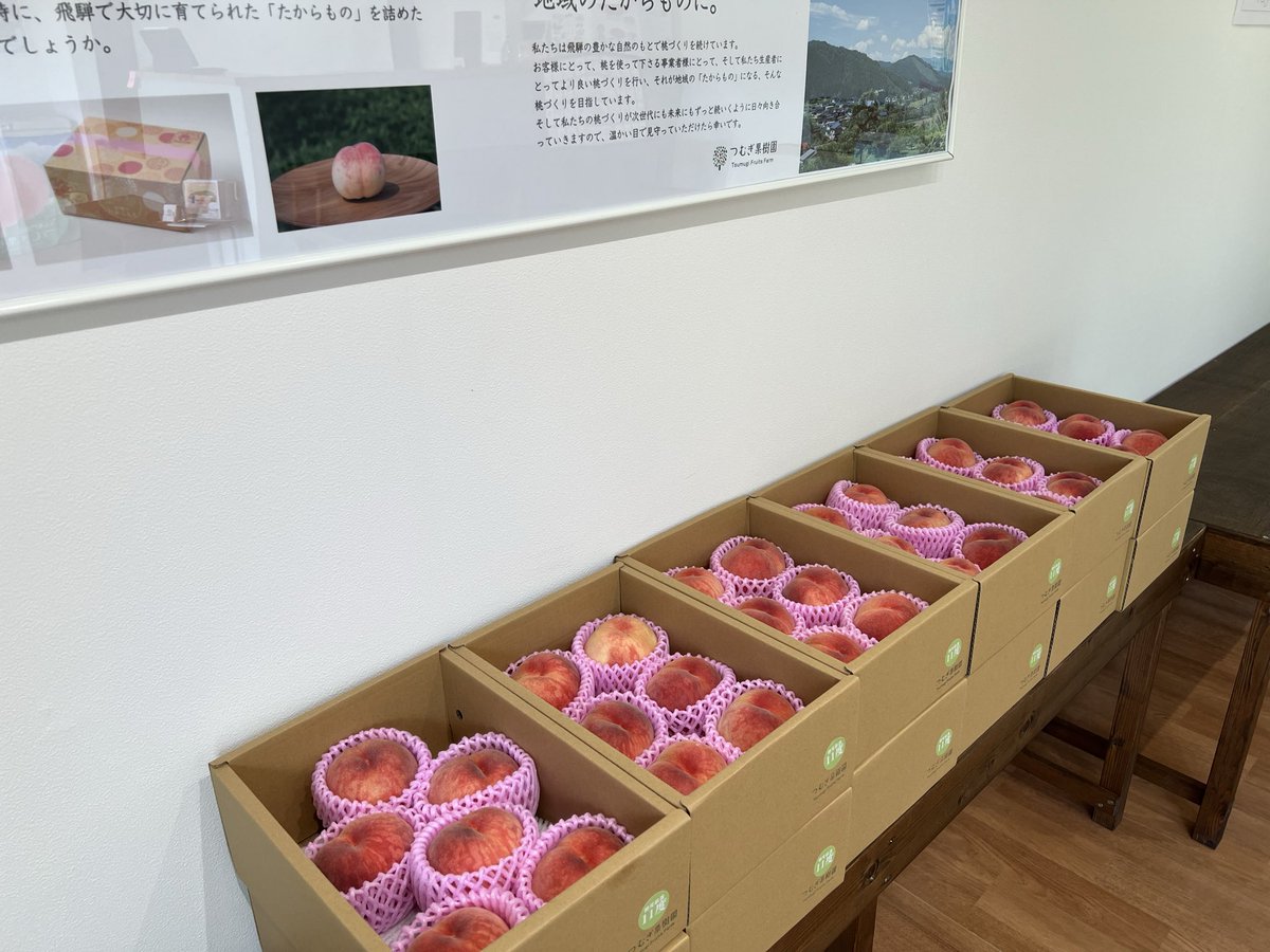 tsumugi_fruits's tweet photo. 本格的な桃のシーズンを迎えました。

みなさまの桃欲を満たすため桃一杯がんばってまいりますので、今シーズンもよろしくお願いいたします。 https://t.co/AATpF5jJ7a