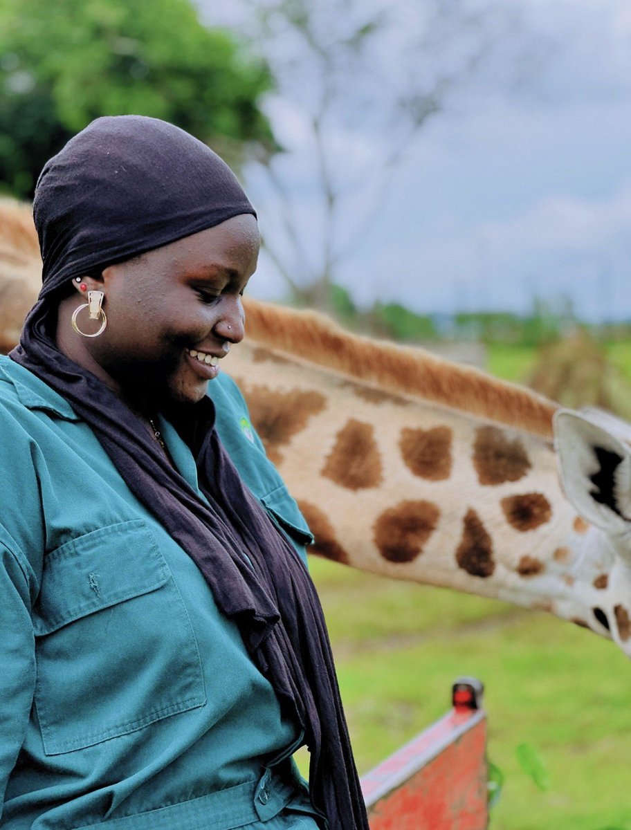 SundiHkm's tweet photo. Participating in the Zookeeper for a Day program at UWEC Entebbe offers a close encounter and an immersive masterclass in wildlife management.

Feeding these gentle giants makes you quickly realize that conservation is an active, daily commitment. 

#ZookeeperForADay https://t.co/57GDZhIVbc