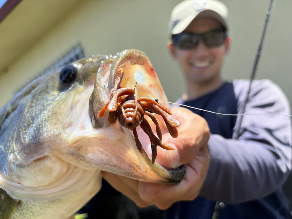 JACKALL BASS FISHING (@JACKALL_Inc) / Posts / X