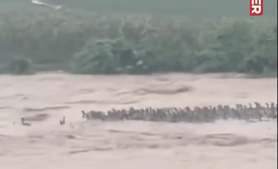ritz2sin's tweet photo. @DailyLoud That looks like a sick infantry battle formation. https://t.co/IMINjEVy0d