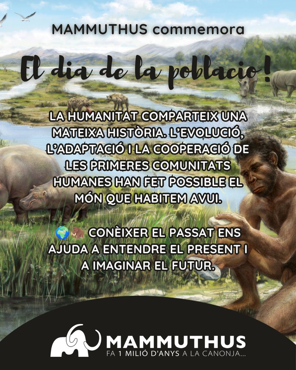 espaimammuthus's tweet photo. 🌍 Avui commemorem el Dia Mundial de la Població.

Des de l'Espai Mammuthus us convidem a reflexionar sobre l'evolució de la humanitat i la importància de comprendre el nostre passat per entendre el present.🦣

#DiaMundialDeLaPoblació #EspaiMammuthus #Prehistòria #Patrimoni https://t.co/LxaHz2rxsx