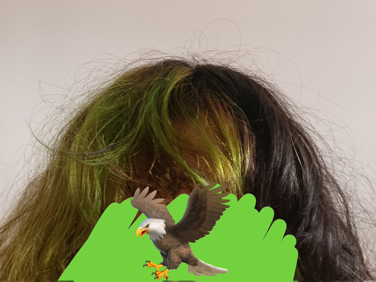 xXangelXx tweet media