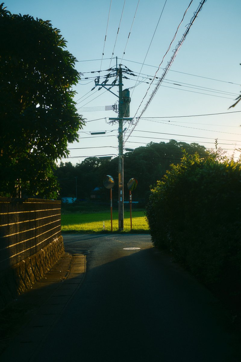 shintake_photo's tweet photo. うつろい https://t.co/ZIlWRL0dpo