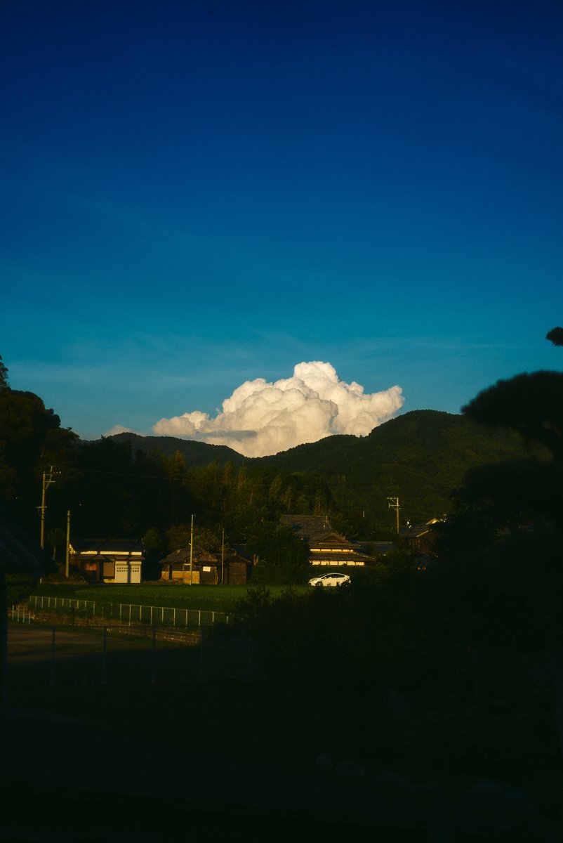 shintake_photo's tweet photo. うつろい https://t.co/ZIlWRL0dpo