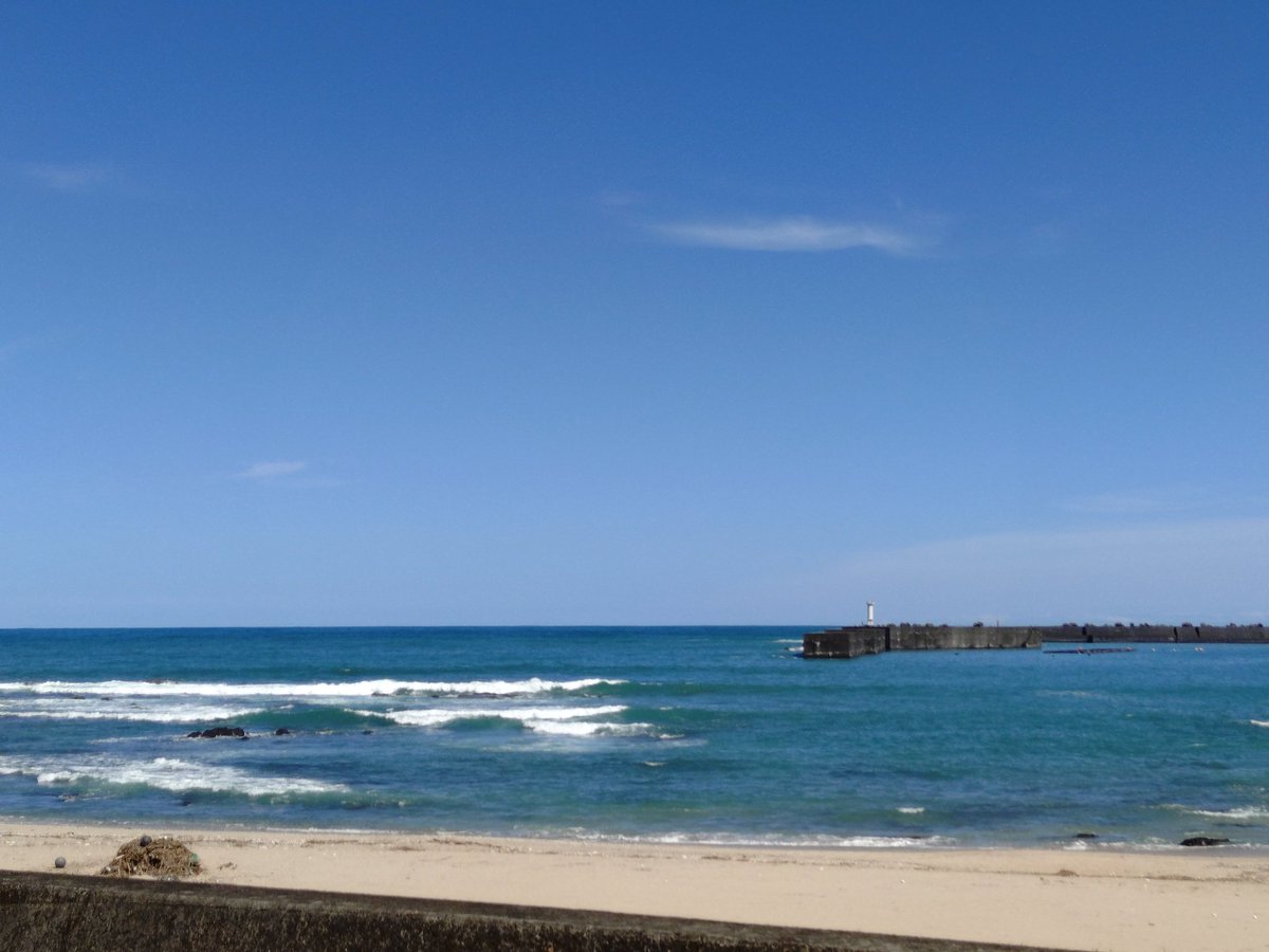 seicop's tweet photo. 鰹食べに来たのに鰹の写真撮るの忘れてた！！！🐟️ https://t.co/OUZGdvrY4l