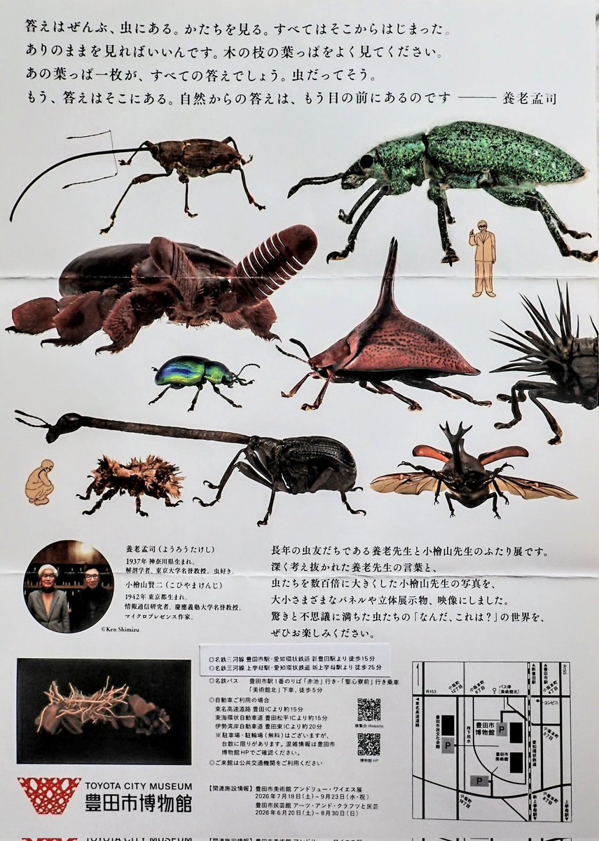 BeetleMounter's tweet photo. 愛知県で「虫展」がはじまりました。

2026年7月11日〜9月23日
会場：豊田市博物館

今回は標本の展示もあり、微針展脚の紹介コーナーも作っていただいたので、ご興味のある方はぜひ豊田市博物館に足を運んでみてください。甲虫多めです。 https://t.co/c5zIh7KsKb