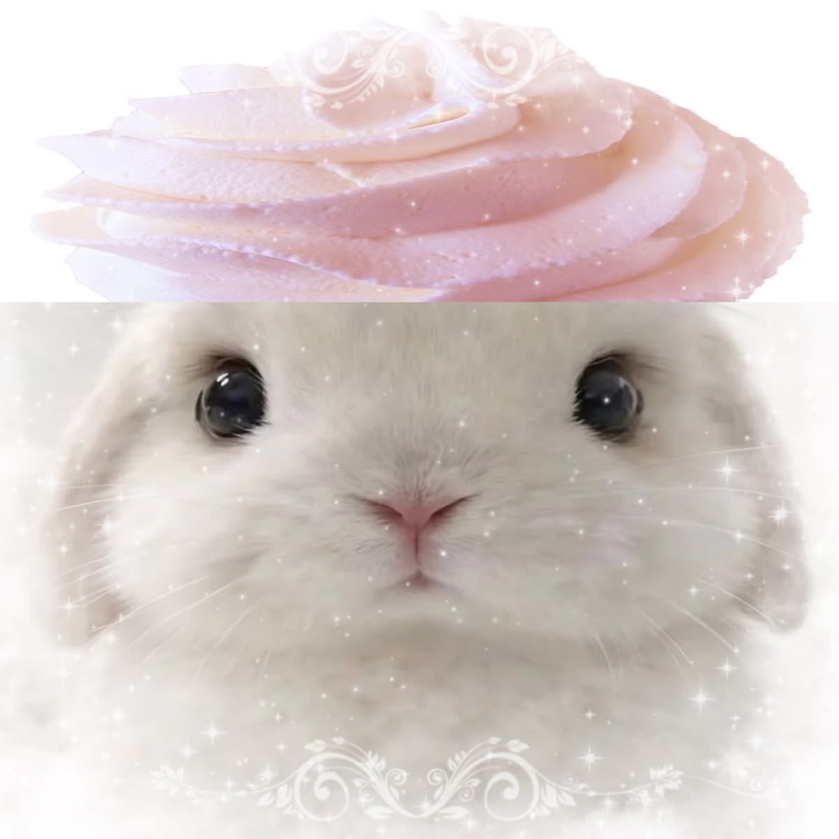 reyia 🍥 ⋆˙⟡ tweet media