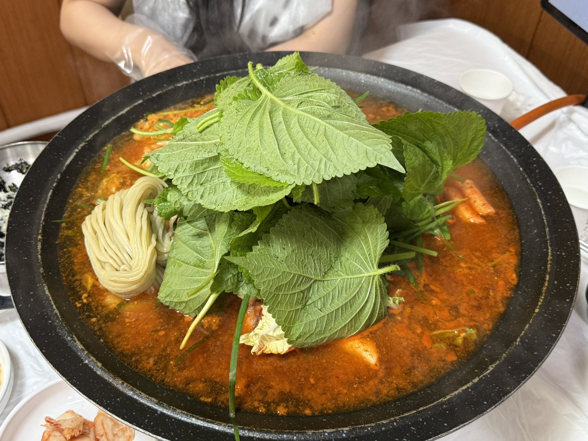 똑똑냥이(첫콘F15) tweet media