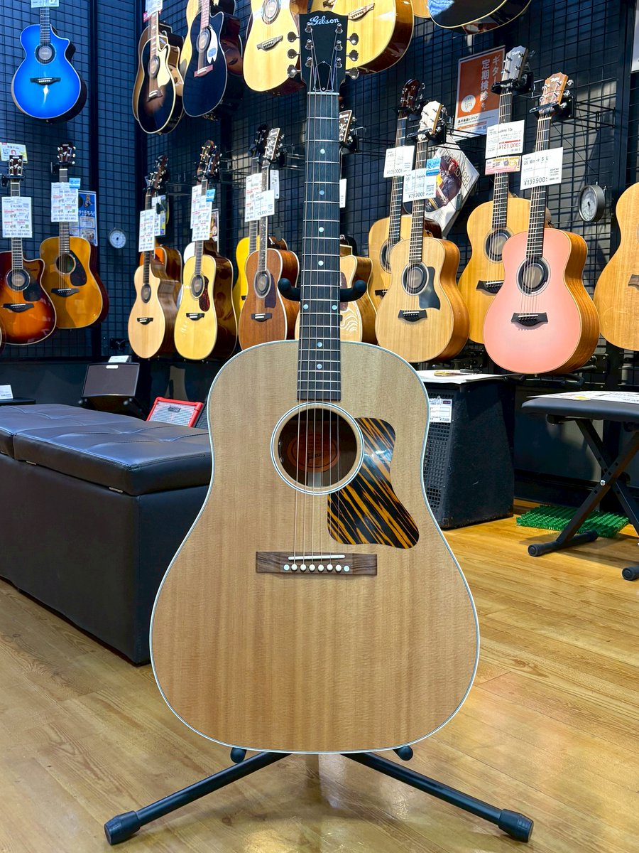 🎸今日の一本🎸 セットアップから戻ってきたj-35🫪 ピックガードがトラ