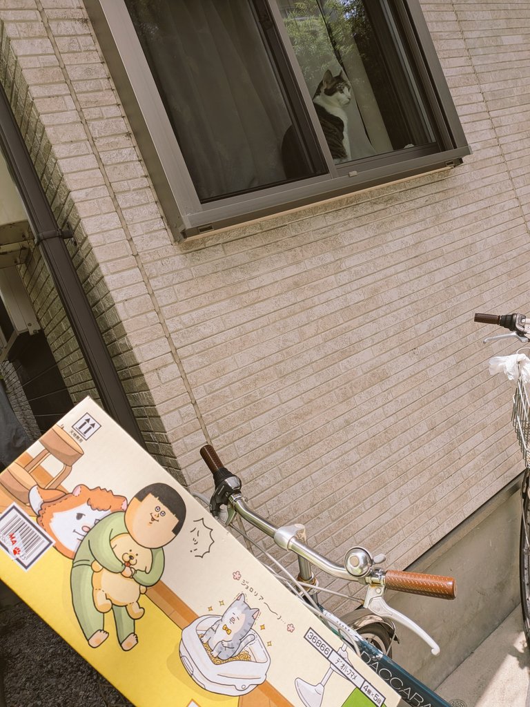 シールが想像よりデカくて使いやすいです😆