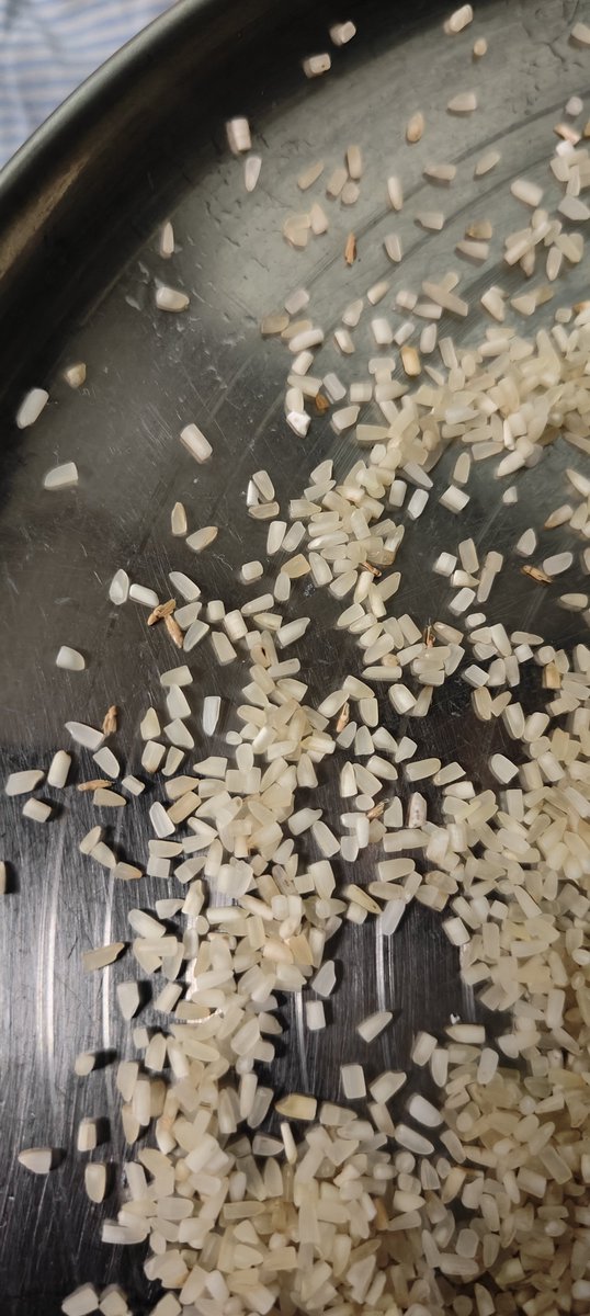 ysubhash037's tweet photo. Swiggy os upplying food material with insect and all without any quality check @fssaiindia @PMOIndia @Swiggy https://t.co/fgzREEtQUf