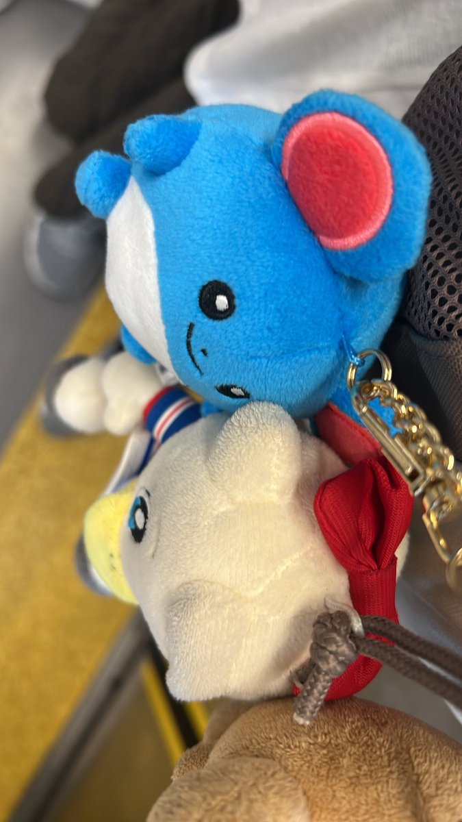 miiju23's tweet photo. 横浜のポケセン入場規制かかってた😰
サテライトには、ガンバサポとF東サポがいたけど、マリルリいなかった🥲
マリルも可愛いぞ！ https://t.co/BScgqyoDFO