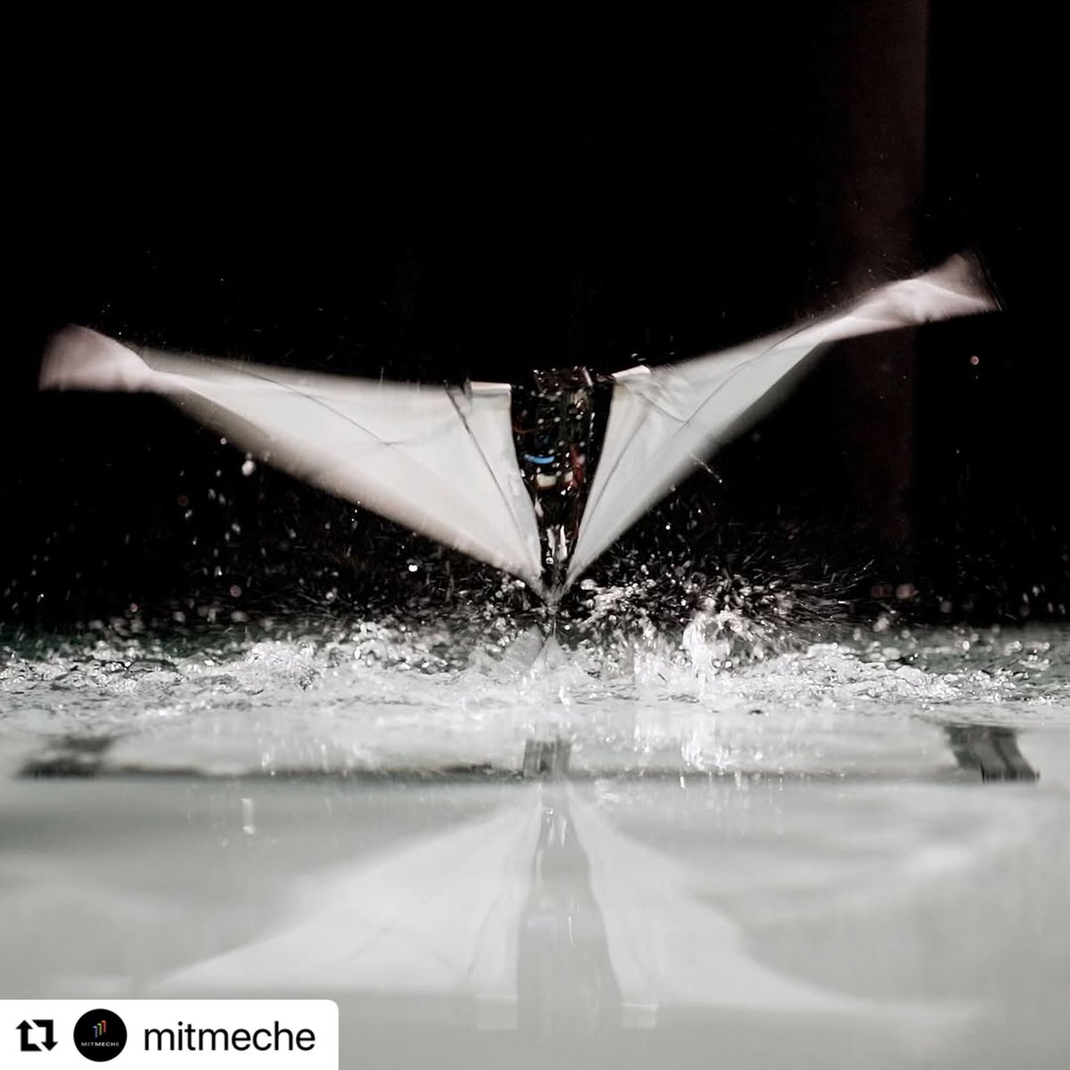 Drone_Wars_'s tweet photo. Engineers from EPFL and MIT have developed a flapping-wing robot capable of swimming underwater, breaking through the surface, and continuing flight in the air, inspired by diving birds. #Robotics #MIT #EPFL #Innovation https://t.co/P3q7ixGoqj