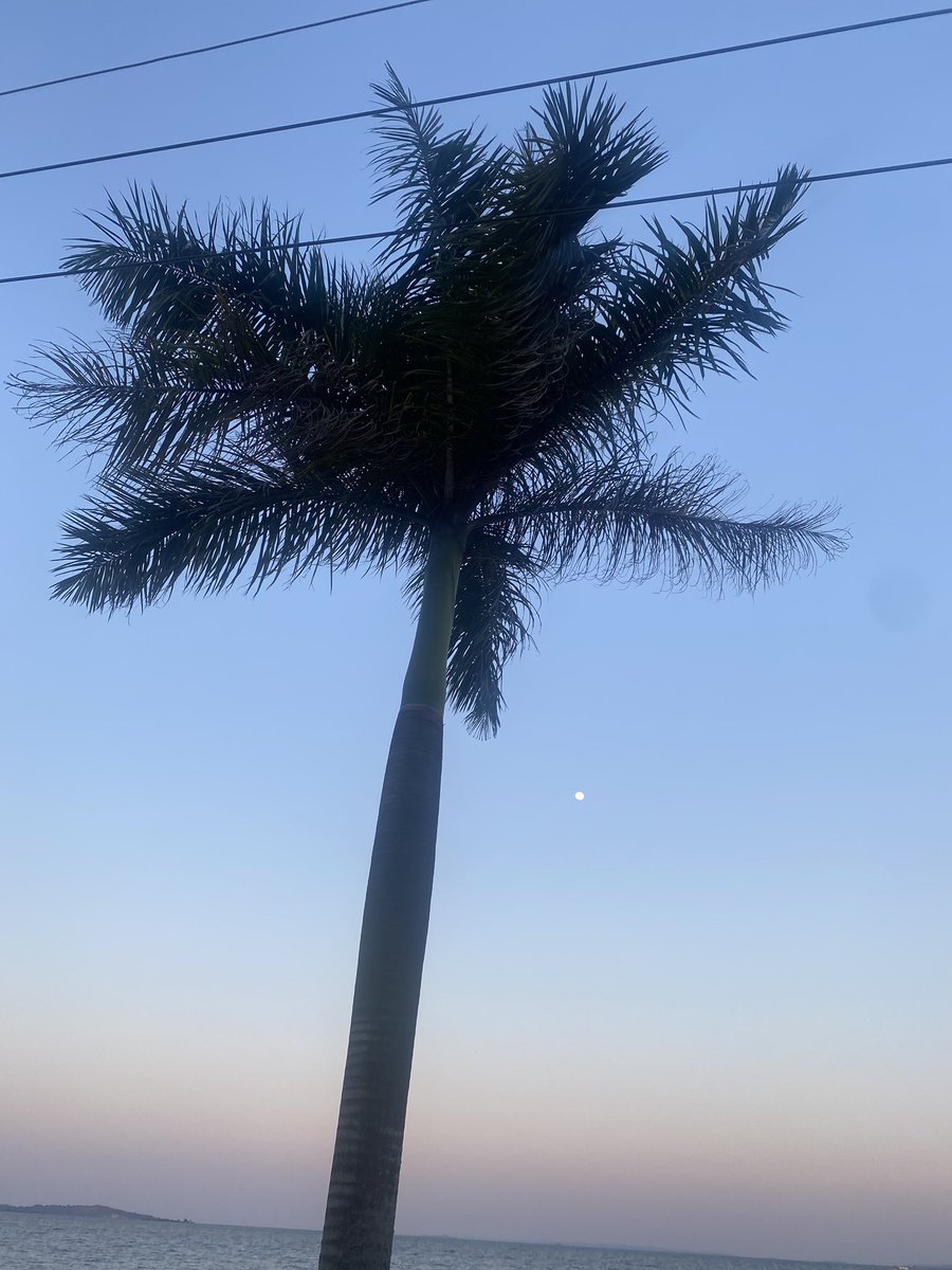 Agatie7's tweet photo. Who’s free we go to the beach 🏝️?
All bills on me🌚 https://t.co/W52JakZFQx