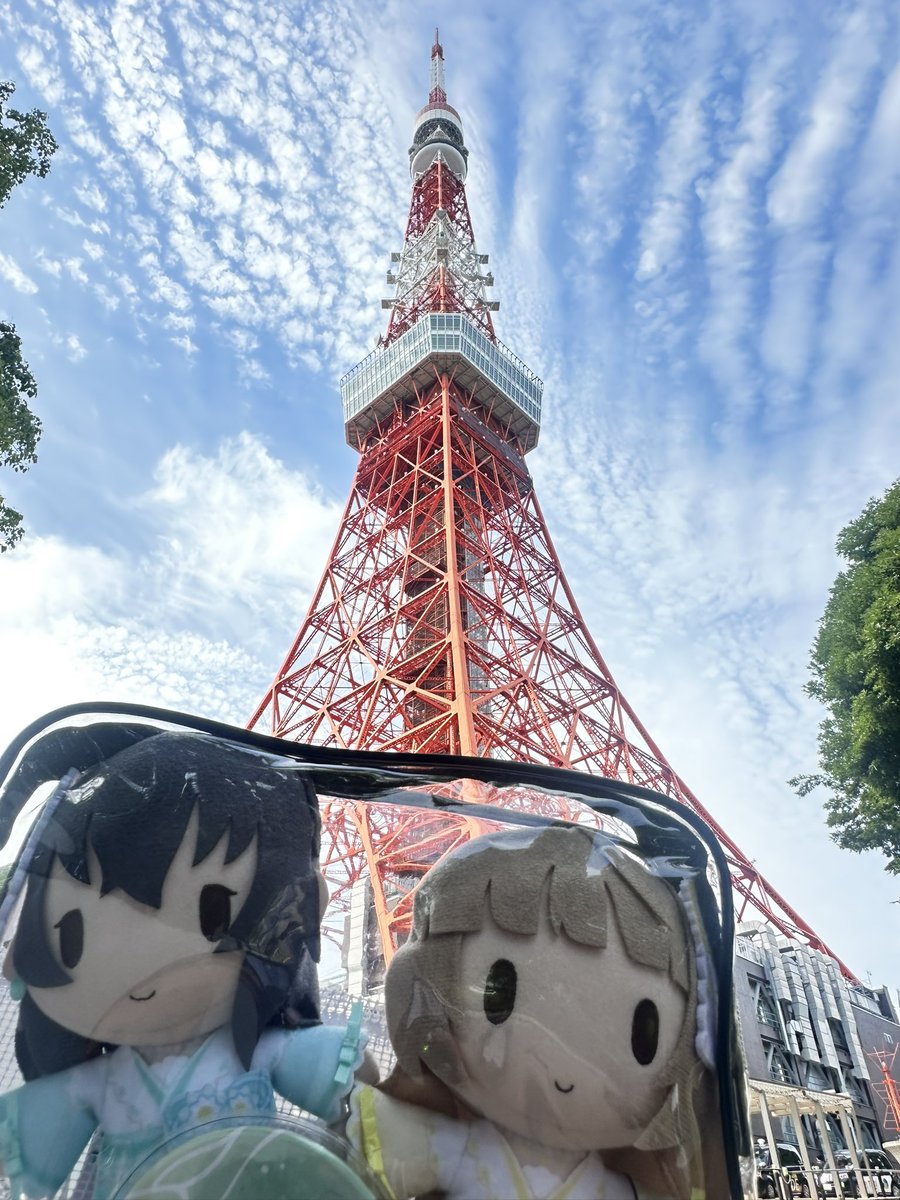 たわー🗼でしてーー！