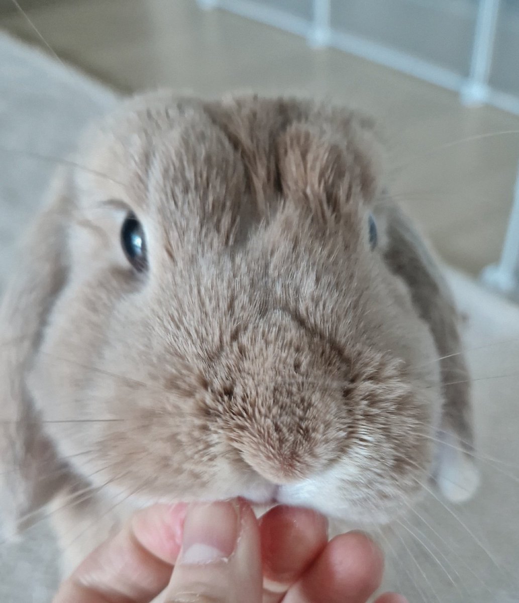 mm__rong's tweet photo. 복숭아 먹고 풀렸어요 https://t.co/ULcabLXdwj