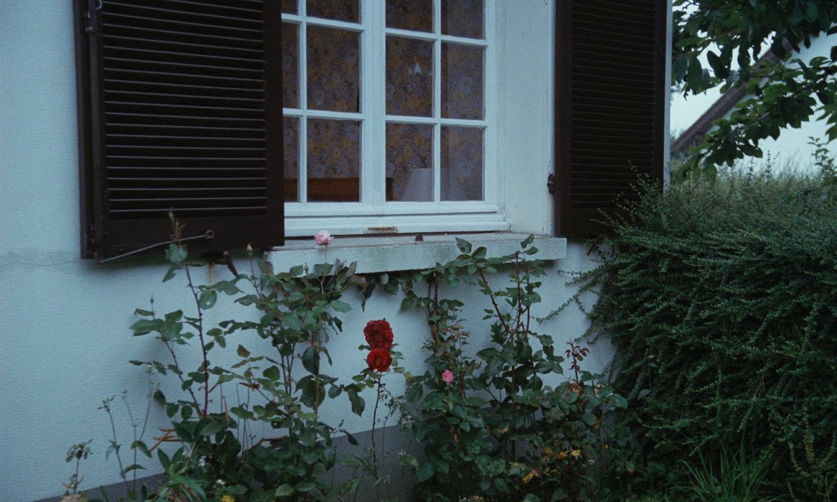 4NReveur's tweet photo. Pauline à la plage (Éric Rohmer, 1983) https://t.co/P2wyw2aiKA