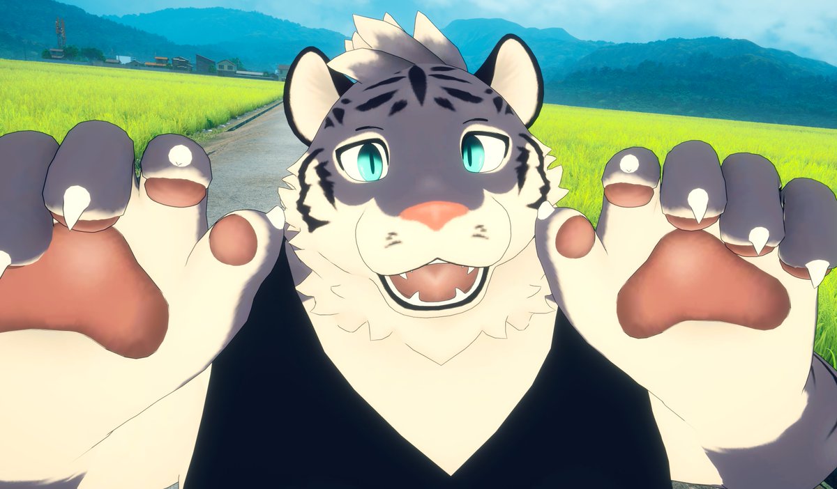 dekakemo's tweet photo. らすちんワークスさん（@rastin_works）にアバターを作っていただきました！今回は体の大きい虎くん！筋肉のむっちり感と、お腹のぷよっとした感じを見事に再現してもらえてハッピーです！腰に巻いてる上着もいい感じ！最高の誕生日プレゼントになりました！今年の夏はこの子でぶいちゃ内を走り回りたいと思います🐯